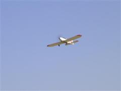 PICT1618.JPG